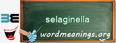 WordMeaning blackboard for selaginella